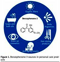 Benzophenone-3, a chemical UV-filter in cosmetics:
is it really safe for children and pregnant women?