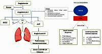 Benefits of standard dose and pulse dose vitamin D
in the high-risk and confirmed hypovitaminosis D population
with COVID-19: an Evidence-Based Case Report (EBCR)