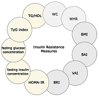 Insulin resistance as a challenge to general practitioners