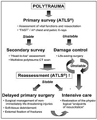 Utilizing ATLS® Trauma Management Protocols: the gold standard for safe and effective care