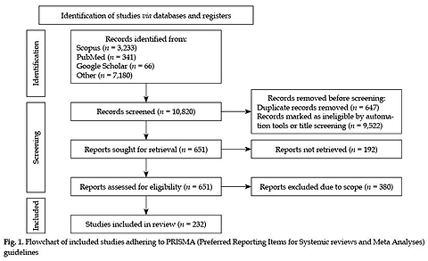 Systematic review of artificial intelligence in brachytherapy