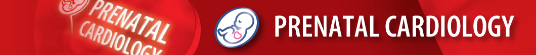 Prenatal Cardiology