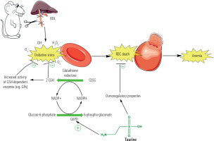 /f/fulltexts/CEH/50386/CEH-9-50386-g008_min.jpg