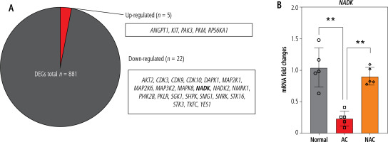 /f/fulltexts/CEH/55531/CEH-11-55531-g003_min.jpg