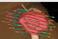 /f/fulltexts/JCB/51298/JCB-15-51298-inline002_min.jpg