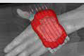 /f/fulltexts/JCB/51298/JCB-15-51298-inline004_min.jpg