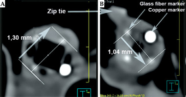 /f/fulltexts/JCB/55646/JCB-17-55646-g013_min.jpg