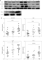 /f/fulltexts/PDIA/40010/PDIA-37-93382-g002_min.jpg