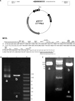 /f/fulltexts/PDIA/47387/PDIA-39-47387-g005_min.jpg