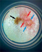 /f/fulltexts/PDIA/55041/PDIA-41-55041-g002_min.jpg