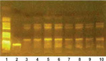 /f/fulltexts/PDIA/56524/PDIA-42-4-56524-g002_min.jpg
