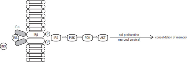 /f/fulltexts/PEDM/56396/PEDM-31-56396-g001_min.jpg