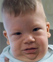 /f/fulltexts/PEDM/57422/PEDM-31-57422-g003_min.jpg