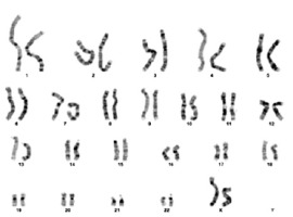 /f/fulltexts/PJA/56095/PJA-12-56095-g002_min.jpg