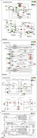 /f/fulltexts/WO/57665/WO-30-57665-g004_min.jpg